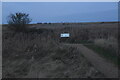 Cley Marshes