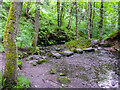 Stepping stones across Dean Dike on the Kirklees Way, Hepworth