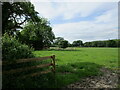 Grass field, Longridge