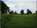 Grass field, Dunston Heath