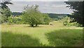 Farmland near Jerretts Hill