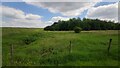 Land close to Hyde Farm