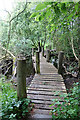 Boardwalk at Loch a