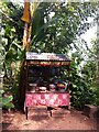 SX0454 : West Africa Crop Shop, Rainforest Biome, Eden Project by A J Paxton