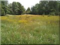 Meadow, Lennox Park