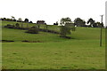 Pastureland by 1066 Country Walk