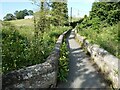 SJ3057 : Pack horse bridge over the River Alyn by Oliver Dixon