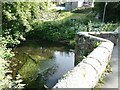 Pack horse bridge over the River Alyn