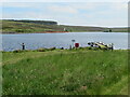 NT6656 : Watch Water Reservoir by M J Richardson
