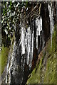 Icicles on cliff, All Saints Rise