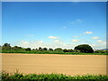 Farm off the A394 near Rosudgeon