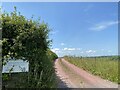 SN3914 : Track to Clomendy Farm by Alan Hughes