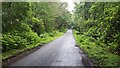 Damp summer afternoon on Lyburn Road