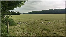 SU9486 : Field south of Abbey Park Farm by James Emmans