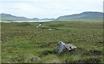 NC6344 : An Garbh-allt approaching Loch Loyal by Alan Reid