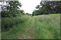 Track towards Broadmoor Lodge