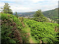 Llwybr ger Penygraig / Path near Penygraig