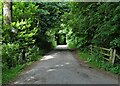 Lane leading to Hall Farm