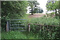 Gate on the bridleway by Weston Gardens