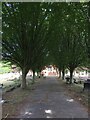 Ship Lane Cemetery