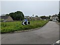 A wildflower roundabout