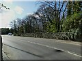 Leeds Road railway bridge, Thackley