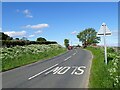 Looking along Healeyfield Lane