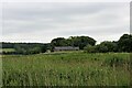 Ruinous Barn