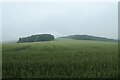 Farmland in Warrendale