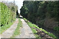 Footpath by the River Bourne