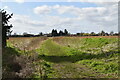 Footpath out of Snoll Hatch