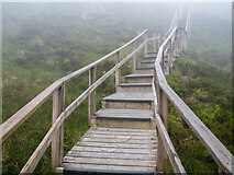H1128 : The Cuilcagh Boardwalk by Rossographer