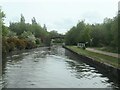 Boothstown Bridge [no 55], from the west