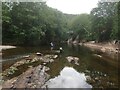 Edzell River