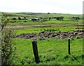 View south from the Waskerley road