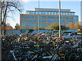 Bike racks near Cambridge Station