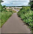 Footpath/Cycle path beside Carnbroe Road