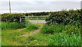 View through field gateway on north side of rural road west of Keysmount