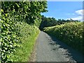 Minor Road at Keepers Wood