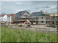 Whittington Walk housing development, Worcester - phase 2