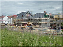 SO8753 : Whittington Walk housing development, Worcester - phase 2 by Chris Allen