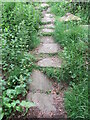 Stone trod near Park Nook