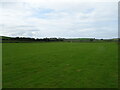 SD2669 : Grassland towards Bracken Hill by JThomas