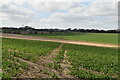 Footpath, Enifer Down