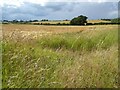 SP0753 : Farmland near Dunnington by Philip Halling