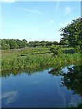 SJ9314 : Canal and farmland north-east of Penkridge, Staffordshire by Roger  D Kidd