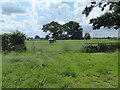 Gate and kissing gate on part of the Shropshire Way near Whixall