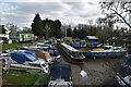 Boats in the mud