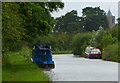 SJ4662 : Narrowboats moored along the Shropshire Union Canal by Mat Fascione