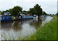 SJ4761 : Narrowboats moored along the Shropshire Union Canal by Mat Fascione